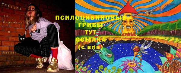 ECSTASY Заводоуковск