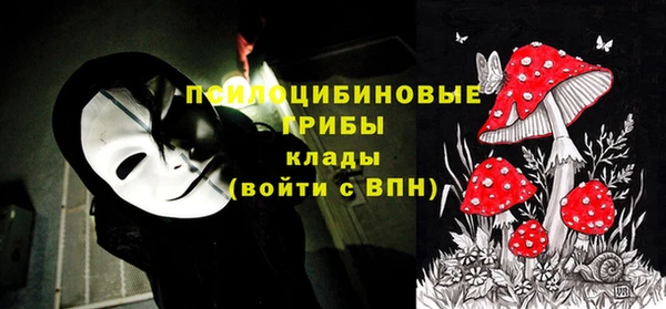 ECSTASY Заводоуковск