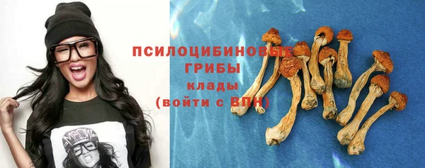 ECSTASY Заводоуковск