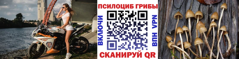 Галлюциногенные грибы прущие грибы  Купить  Вичуга 